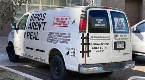 birds are fake van